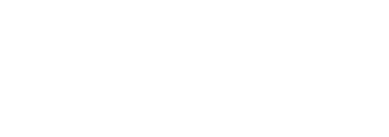 CHSSN Logo - White